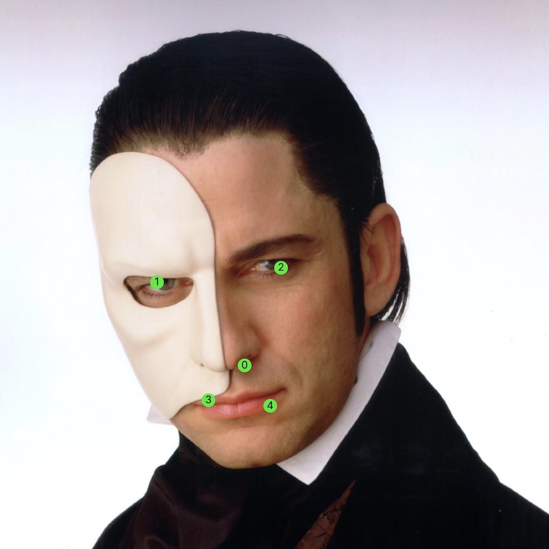 Example image and five-point facial keypoints array from 300-W.